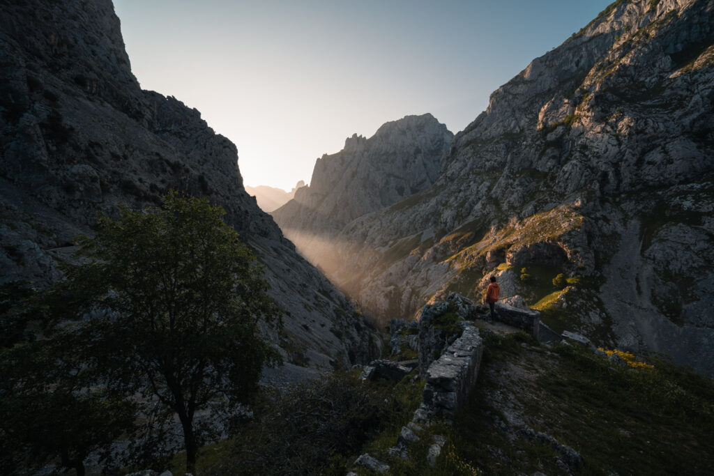 Outdoor photography - Julia Jakovleva - Finding The Light