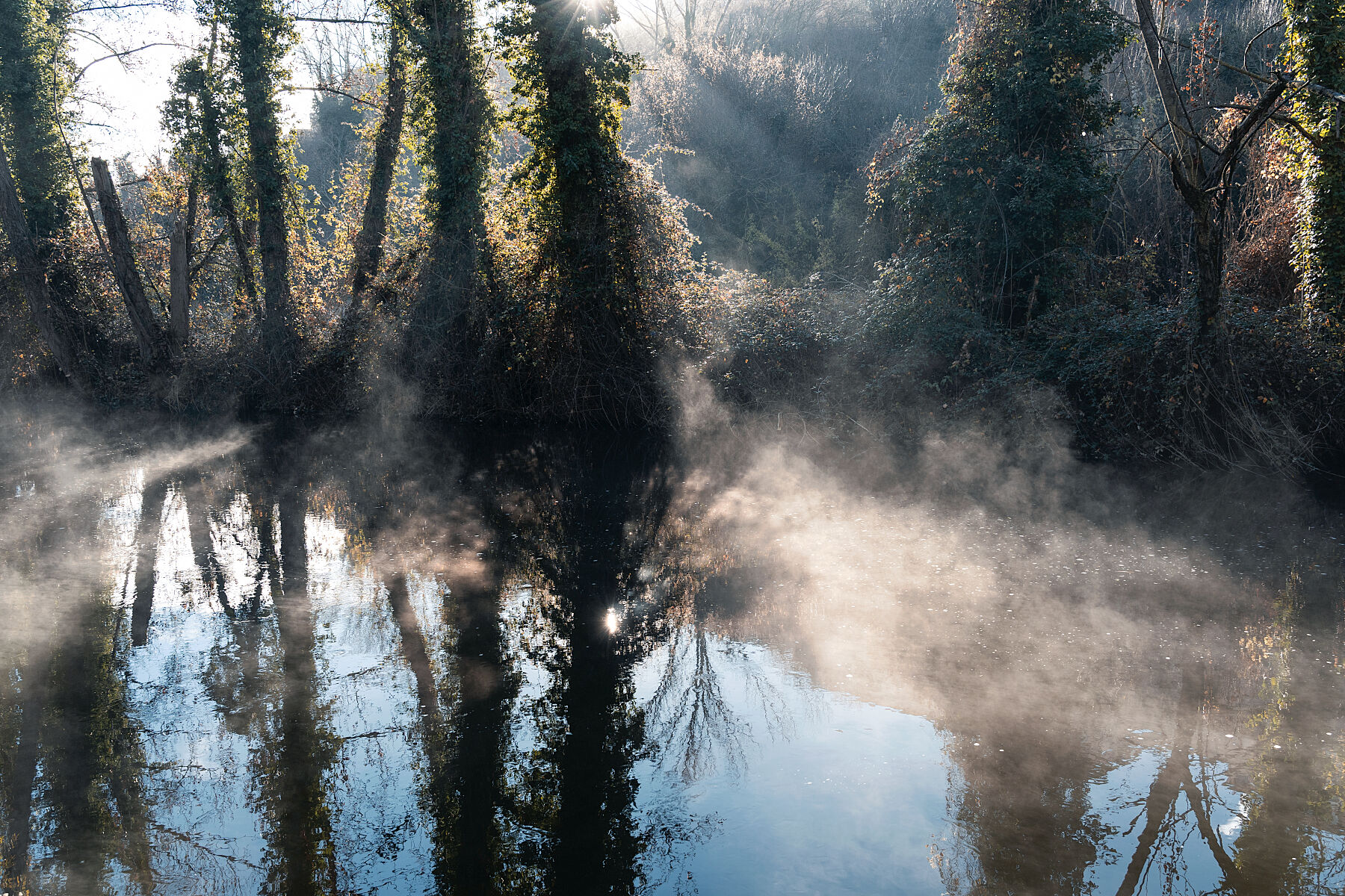 Room For Reflections