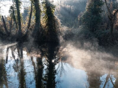 Room For Reflections