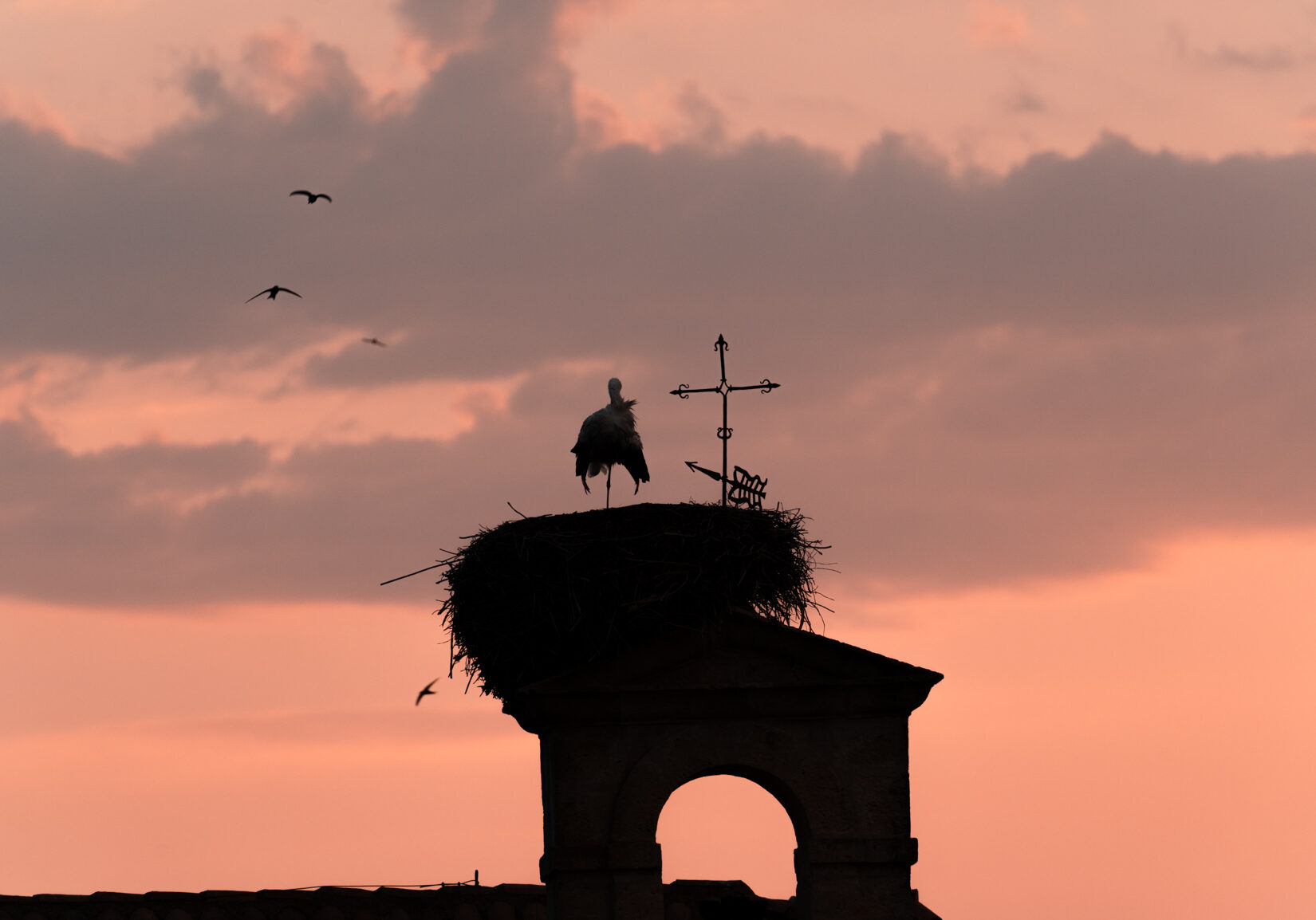 451Days-Storks-156